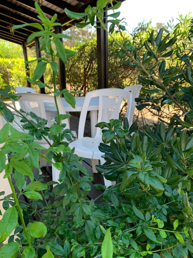 Cabanas Del Este 사우세 데 포르테수엘로 외부 사진