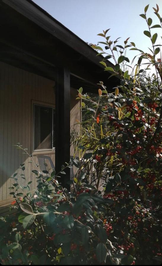 Cabanas Del Este 사우세 데 포르테수엘로 외부 사진